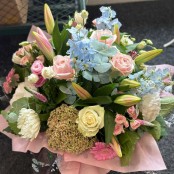 Pastel Perfection